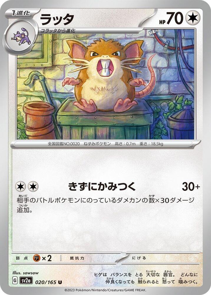 Raticate – 020/165 – SV2a: Pokemon Card 151 – Japonais
